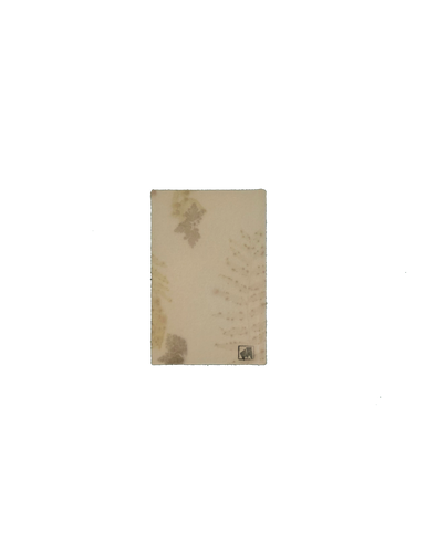 Cuaderno ecoprint M